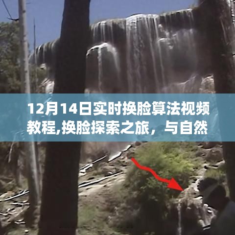 长颈鸟喙 第3页