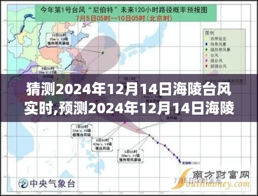 2024年12月14日海陵台风实时预测与气象分析，未来观察与探讨