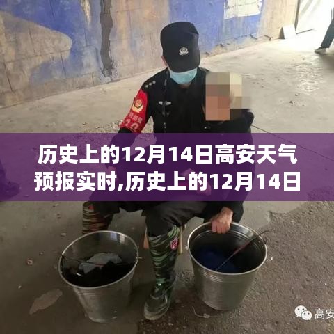 历史上的12月14日高安天气预报，变化中的自信与成就，激励前行的力量之源