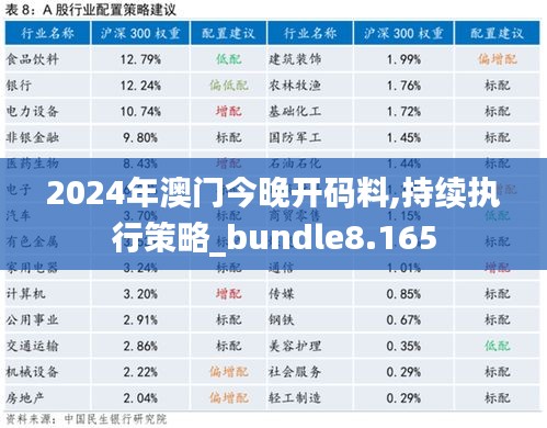 2024年澳门今晚开码料,持续执行策略_bundle8.165