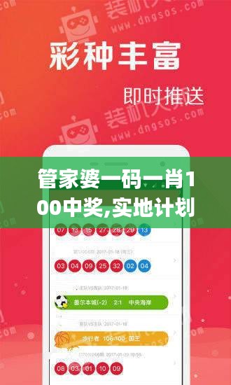 管家婆一码一肖100中奖,实地计划验证数据_VIP9.208