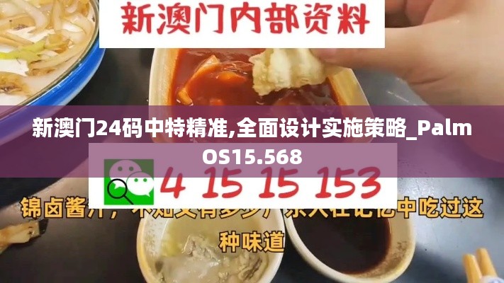 新澳门24码中特精准,全面设计实施策略_PalmOS15.568
