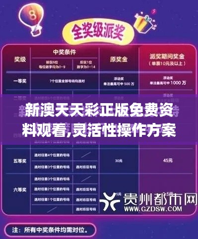 新澳天天彩正版免费资料观看,灵活性操作方案_Advanced9.701