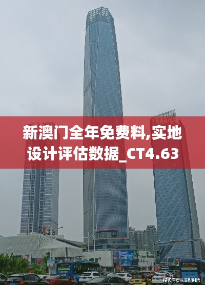 新澳门全年免费料,实地设计评估数据_CT4.633