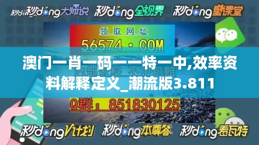 澳门一肖一码一一特一中,效率资料解释定义_潮流版3.811