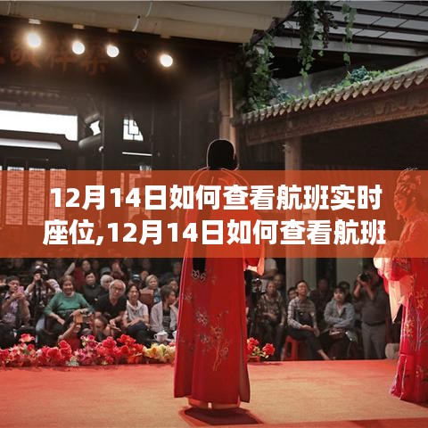 解析与观点探讨，如何查看航班实时座位信息（以12月14日为例）