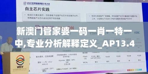 新澳门管家婆一码一肖一特一中,专业分析解释定义_AP13.455