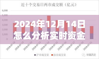 揭秘资金风云，特色小店的实时资金分析与洞悉策略在2024年12月14日的应用之道
