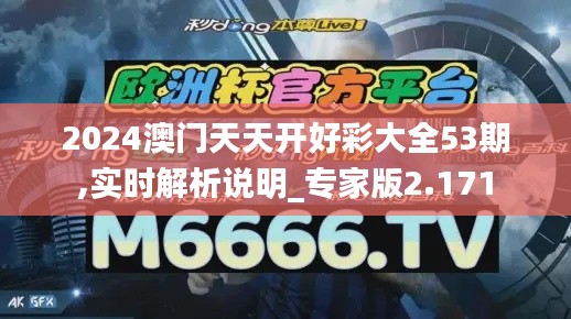 2024澳门天天开好彩大全53期,实时解析说明_专家版2.171