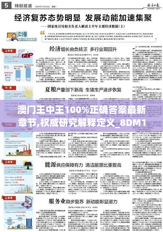 澳门王中王100%正确答案最新章节,权威研究解释定义_8DM1.417