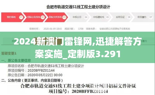 2024新澳门雷锋网,迅捷解答方案实施_定制版3.291