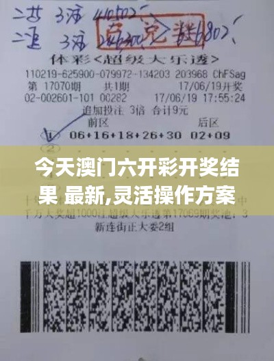 今天澳门六开彩开奖结果 最新,灵活操作方案设计_进阶款7.236