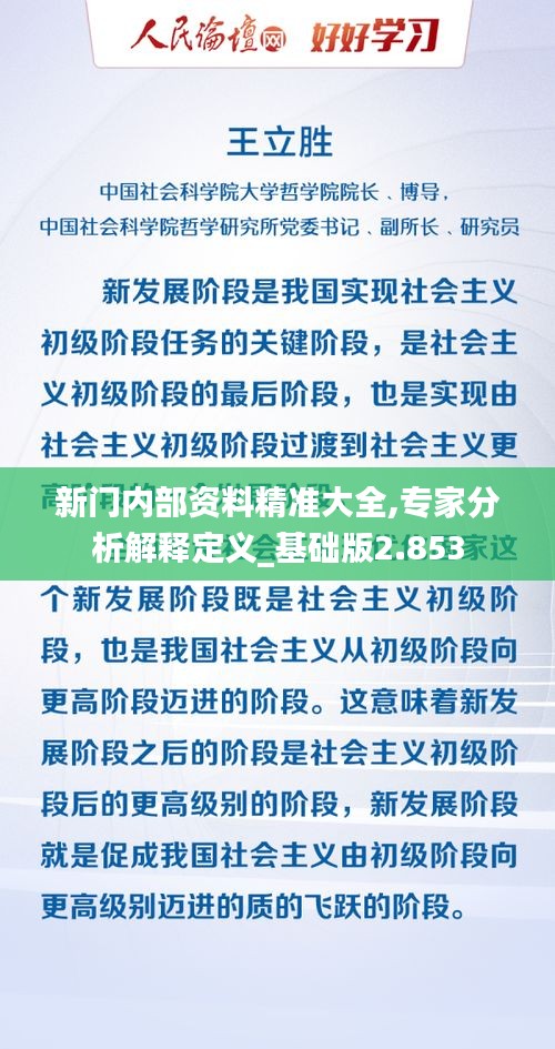 新门内部资料精准大全,专家分析解释定义_基础版2.853