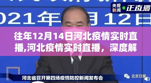 河北疫情实时直播深度解析与观点阐述，历年12月14日疫情动态概览