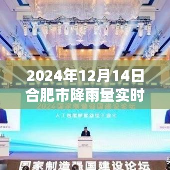 合肥市降雨实时查询表下的气象观察与思考（2024年降雨数据）