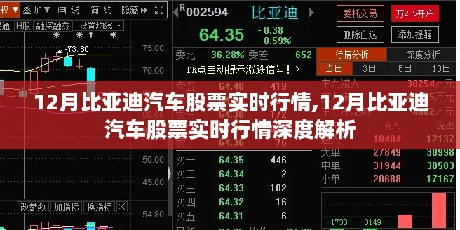 12月比亚迪汽车股票实时行情深度解析