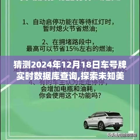 探索未来车牌查询之旅，预测未知美景，启程寻找宁静绿洲的启程点——2024年12月18日实时数据库查询系统探索体验