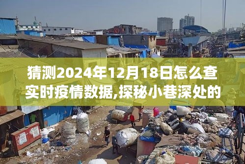 探秘特色小店与疫情数据查询之旅，揭秘未来实时疫情数据预测与查询方法（2024年12月18日）
