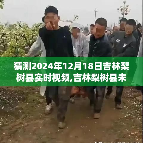 吉林梨树县未来视频预测，2024年12月18日实时视频猜想及其影响展望