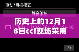 自然美景同行