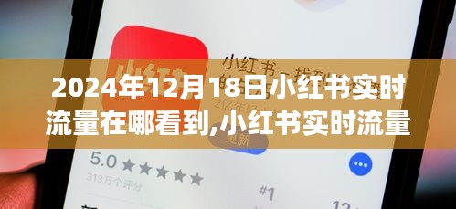 小红书实时流量洞察解析，2024年12月18日的流量观察与洞察报告
