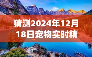 2024年12月18日启程，宠物精准定位与探索自然美景的未来之旅