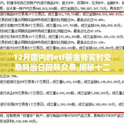 揭秘十二月国内ETF基金，实时交易与当日回转交易的全面解析