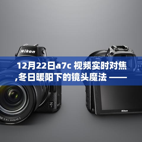 冬日暖阳下的镜头魔法，A7C视频实时对焦与友情故事的记录