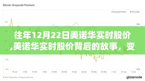 美诺华实时股价背后的故事，变化、学习与自信的力量，历年12月22日股价回顾