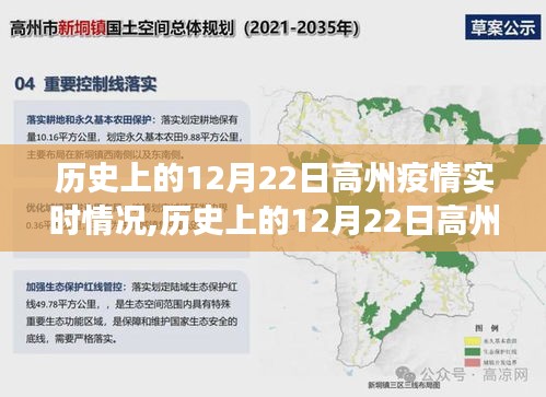历史上的12月22日高州疫情实时情况回顾，洞察疫情发展