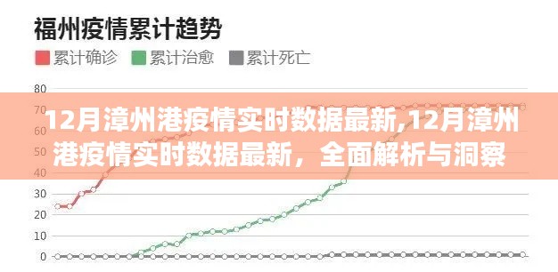 全面解析与洞察，12月漳州港疫情实时数据最新报告