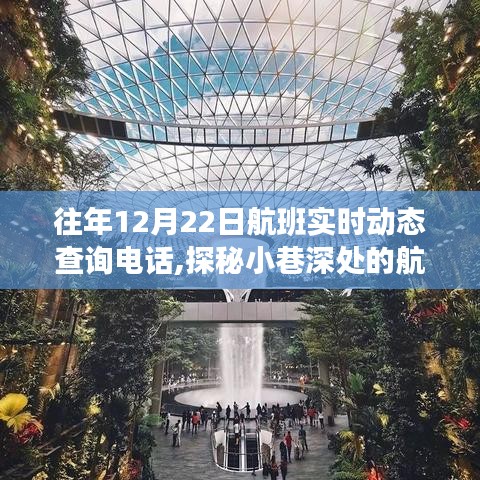 探秘航空热线宝藏店，揭秘往年航班实时动态查询电话的神秘面纱（航班查询电话详解）