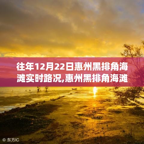 惠州黑排角海滩，爱与陪伴的温馨故事——实时路况记录下的奇妙一天