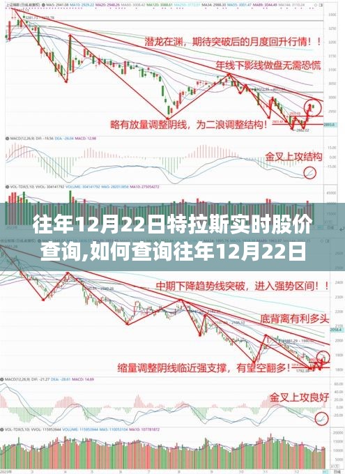 往年12月22日特拉斯实时股价查询攻略，初学者与进阶用户指南