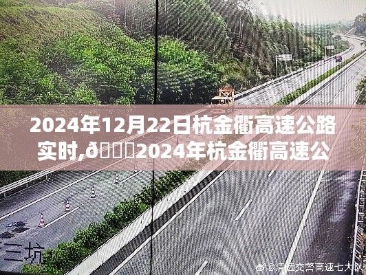 🌟2024年杭金衢高速公路实时路况，一路畅行无忧的出行好帮手