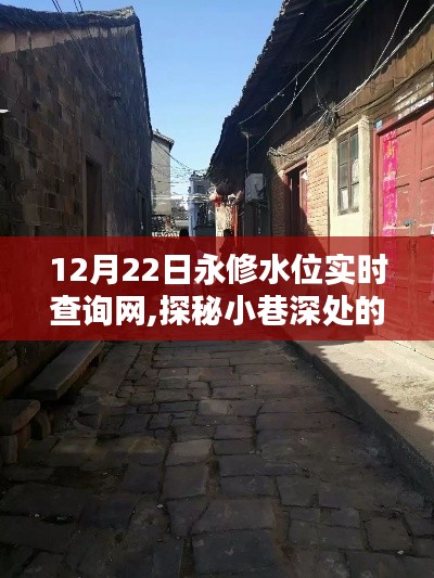 探秘永修水位实时查询网周边宝藏，特色小店一览