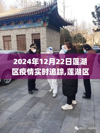 2024年最新动态