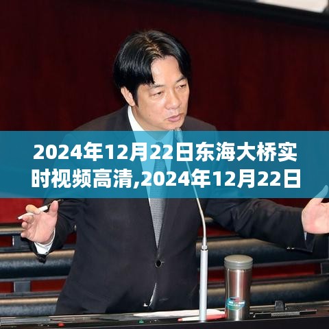 2024年东海大桥实时高清视频观察，桥梁建设的卓越成就与自然景观的完美融合