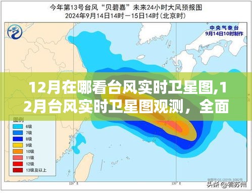 12月台风的实时卫星图观测与解析，全面对比竞品，洞悉风云变幻