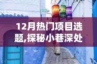 探秘十二月小巷深处的独特风尚，隐藏瑰宝的热门项目选题的深度解析