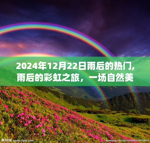 雨后天晴的彩虹之旅，探寻自然美景与内心宁静的交融时刻
