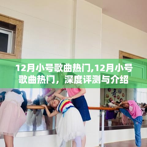 深度评测与介绍，12月热门小号歌曲盘点