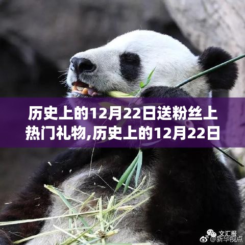 历史上的12月22日，粉丝热门礼物的回顾与展望，送粉丝礼物的历程与未来展望
