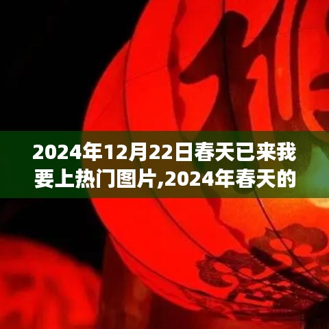 把握机遇！春天故事图片走红，我在2024年春天的热门之旅