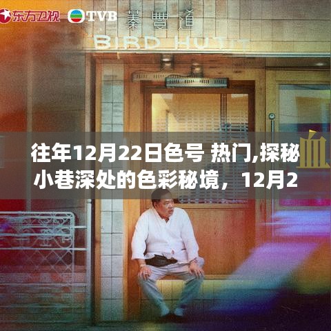 探秘小巷深处的色彩秘境，揭秘热门色号与特色小店之旅的12月22日篇章