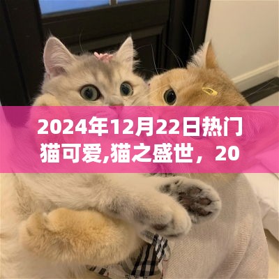 猫之盛世，探究猫可爱流行风潮及其影响