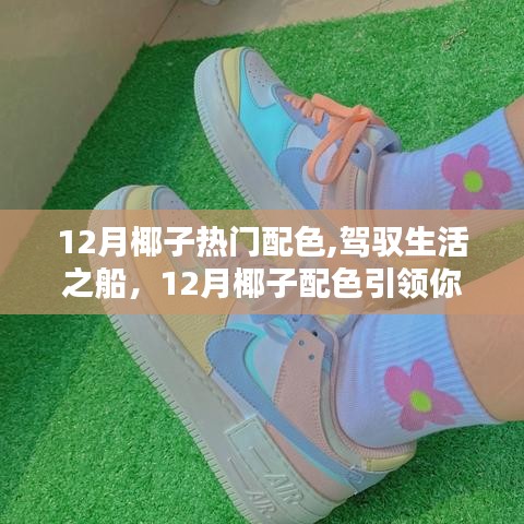 12月椰子热门配色，驾驭生活之舟，引领自信成就之旅