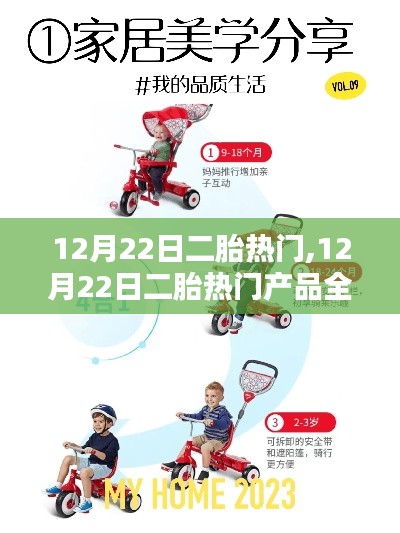 12月22日二胎热门产品全面测评与介绍，为您的二胎生活保驾护航