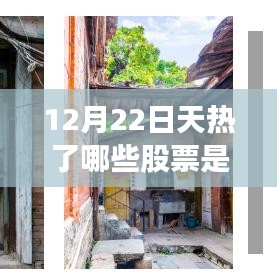 揭秘股市风云变幻与美食之旅，探寻热门股票与小巷特色小店在12月22日的独特魅力