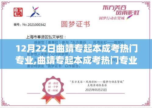曲靖专起本成考热门专业，梦想启航，自信塑造未来